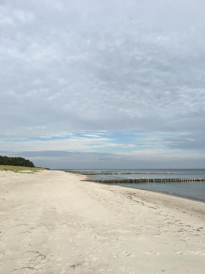 Fewo Sonnenblume Achtern Diek Zingst Ngoại thất bức ảnh
