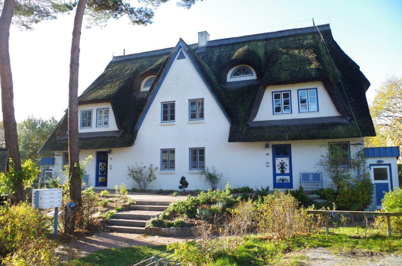 Fewo Sonnenblume Achtern Diek Zingst Ngoại thất bức ảnh